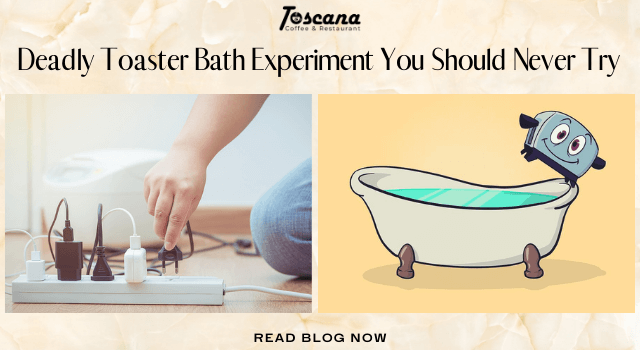 BEWARE: Deadly Toaster Bath Experiment You Should Never Try