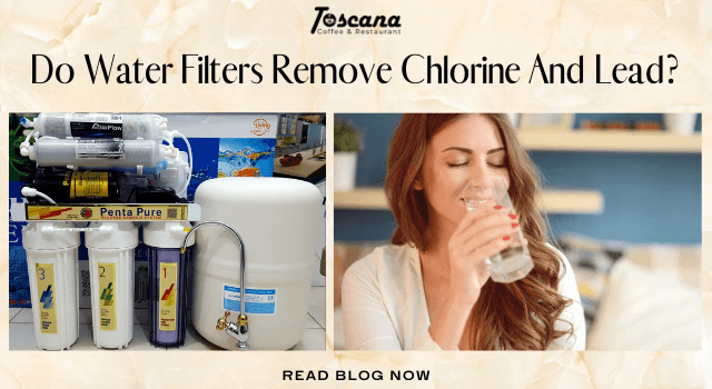 Do Water Filters Remove Chlorine And Lead (In-Depth Explanations)