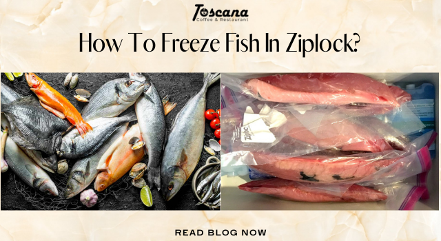 How To Freeze Fish In Ziplock: 3 Easy Steps & Tips For Everyone