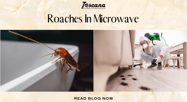 Roaches In Microwave