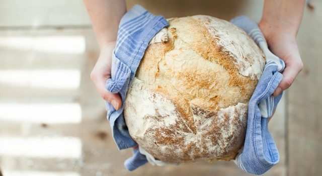 Best bread maker consumer reports