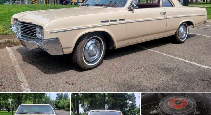 Uncovering the Mysteries of the 1964 Buick Special