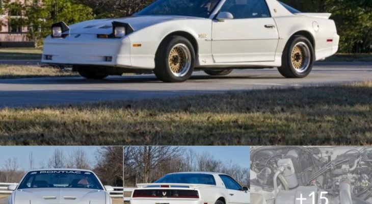 1989 Pontiac Firebird Turbo – The Ultimate Muscle Car?