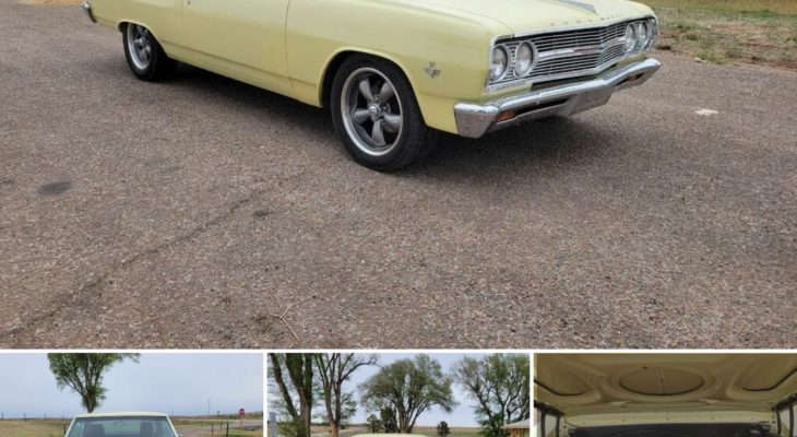 Driving a Piece of History: Discovering the 1964 Chevy Chevelle