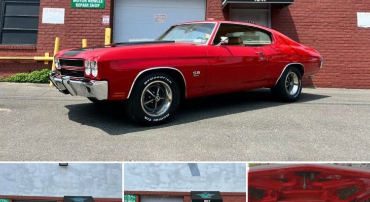 Building a Professional Grade 1970 Chevrolet Chevelle SS