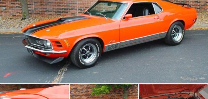 The 1970 Ford Mustang 428 Super Cobra Jet