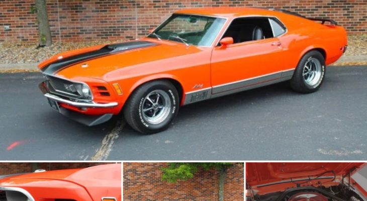 Exploring The Design of the 1970 Ford Mustang 428 Super Cobra Jet