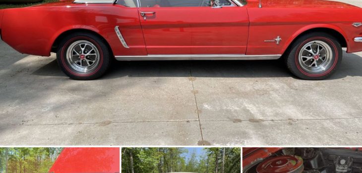 1965 Ford Mustang Overview | Models, Features & History