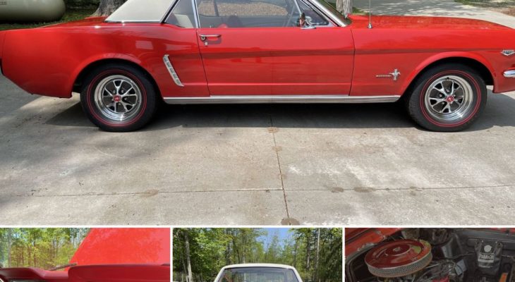 1965 Ford Mustang Overview | Models, Features & History