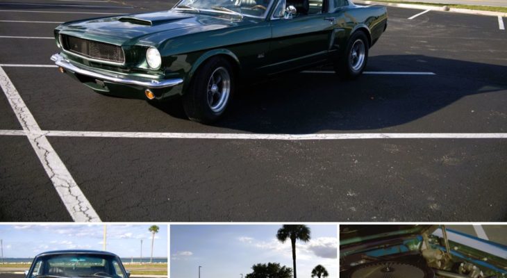 1966 Ford Mustang: A Car Enthusiast’s Ultimate Guide