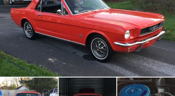 How To Restore A 1966 Ford Mustang Red- Professional Tips & Tricks